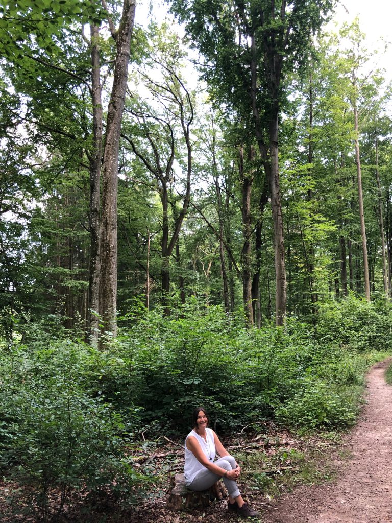 Waldbaden – Shinrin Yoku In Filderstadt - Gesundheit Und Natur