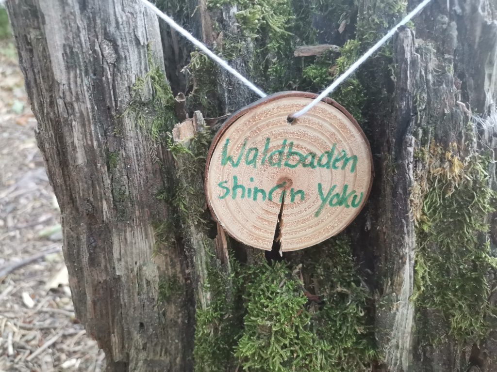 Waldbaden, Shinrin Yoku, Waldmedizin,
Waldtherapie, Baden-Baden